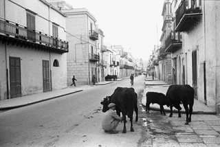 Sicilia, 068-315-48
Mungitura in strada, 1962
Partinico (Italia)