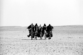Deserto, 003-126-11
Tuareg a cavallo nel deserto,
(Libia)